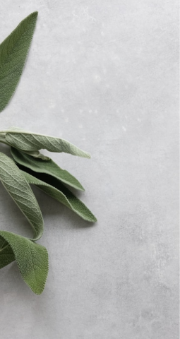 Image (Sage and botanical leaves on white surface)