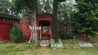 Documentaries & Voices