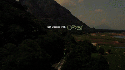 Campaigns & Commercials