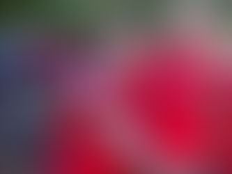 LIZ AND KATIE'S TOPSY CHALLENGE