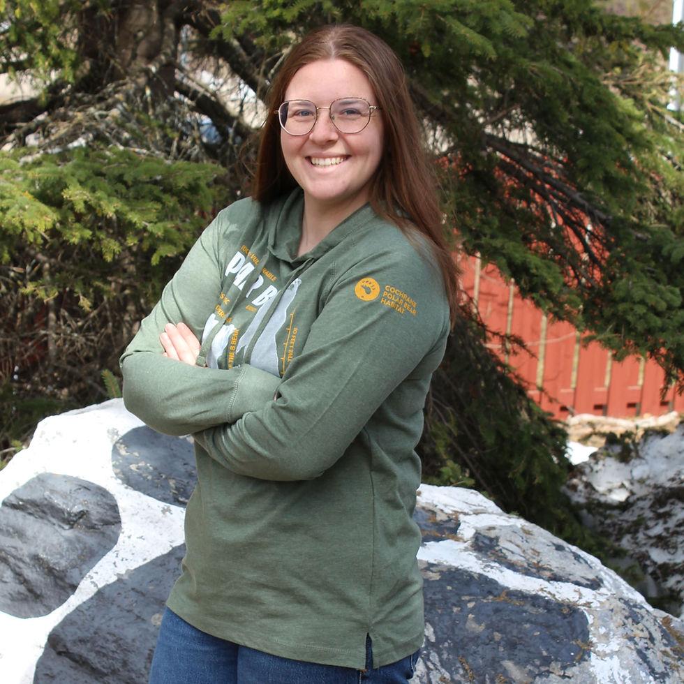 Thumbnail: Ringspun hoodie with polar bear infographic
