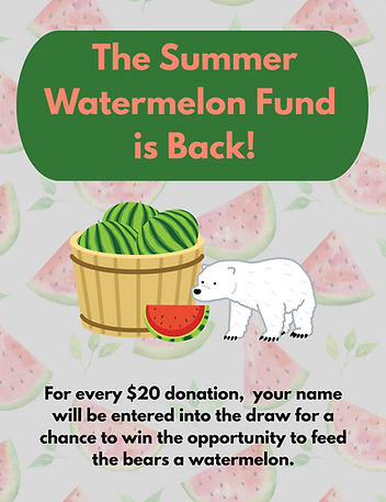 Summer Watermelon Fund | Cochrane Polar Bear Habitat