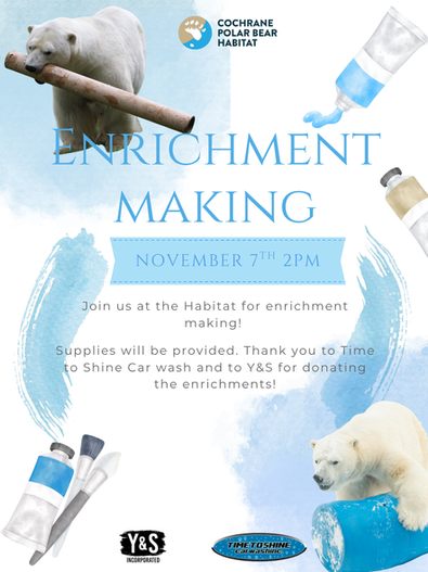 polar bear enrichment making poster