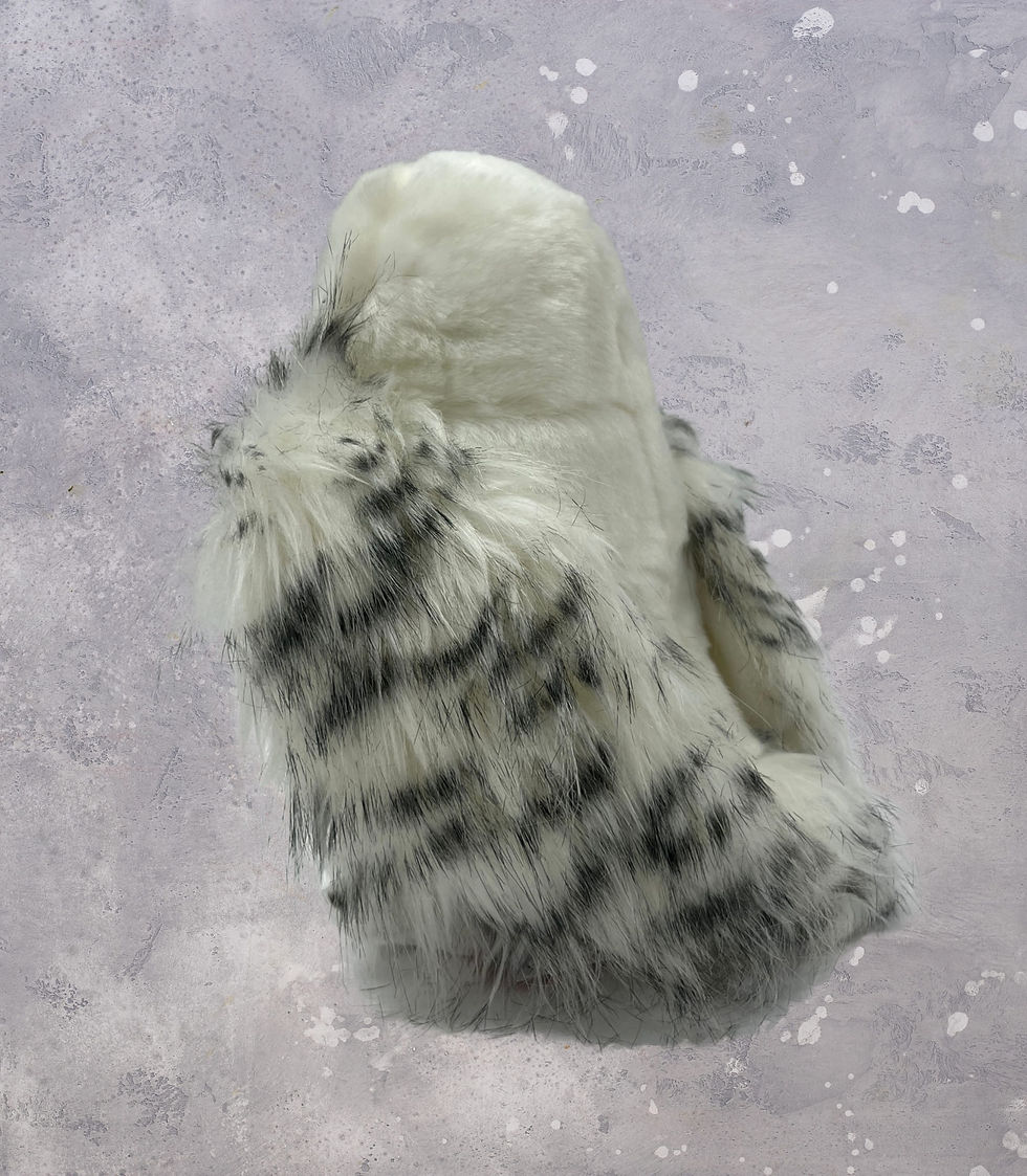 Thumbnail: Snowy Owl