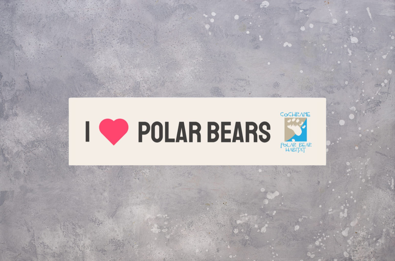I Love Polar Bears Bumper Sticker