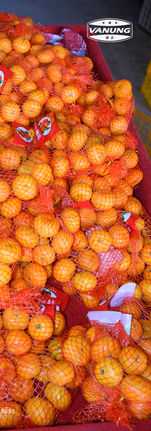 Nanfeng mandarin (28).jpg