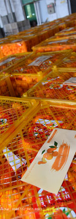 Nanfeng mandarin (46).jpg