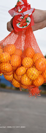 Nanfeng mandarin (8).jpg