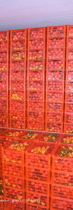 Vanung shatang mandarin (17).jpg