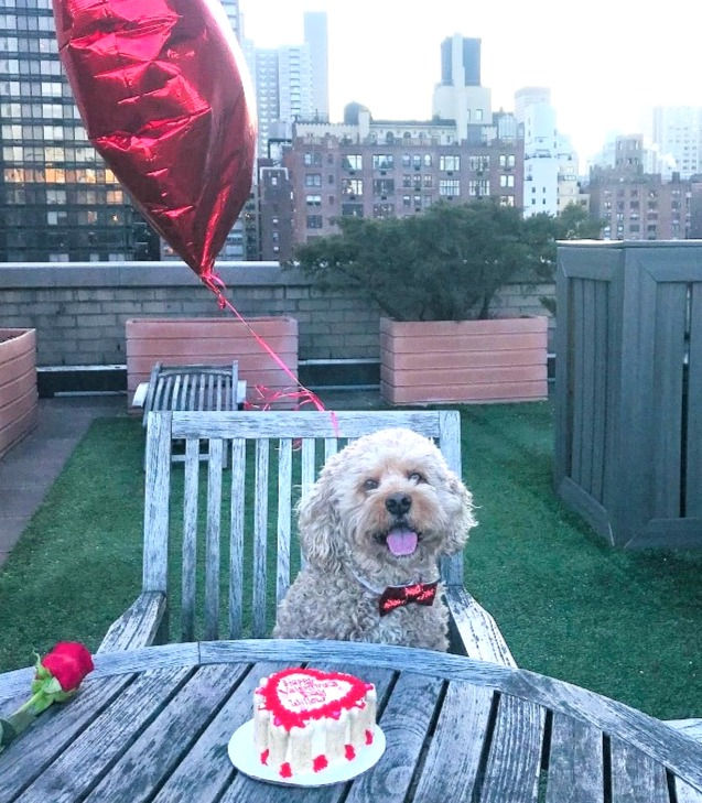 Valentines dat dog cake