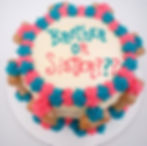 Gender reveal dog cake