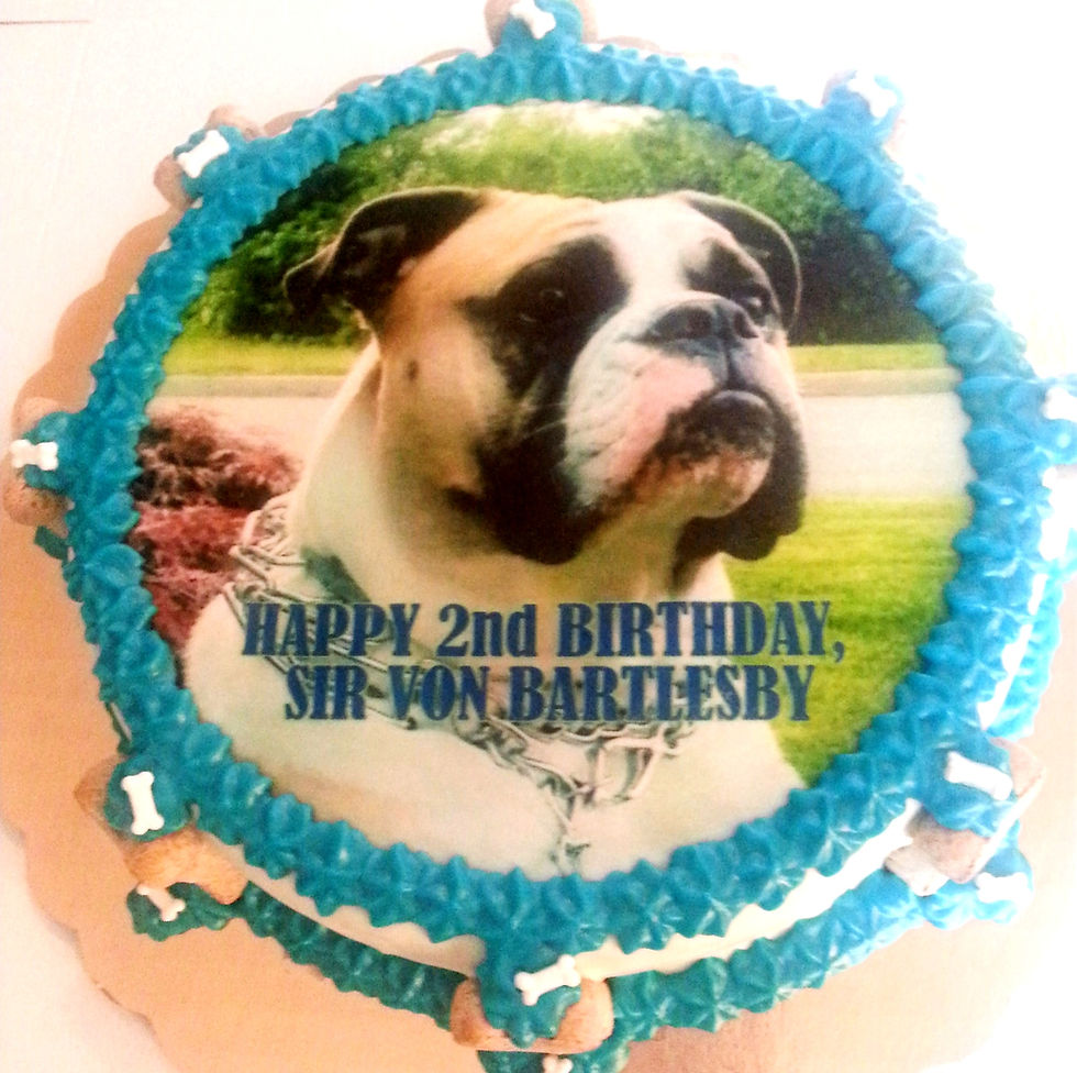 photo dog cake