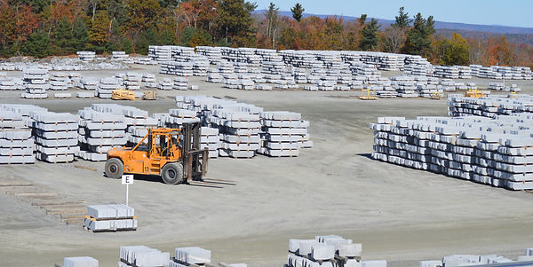 10-OCTOBER- DSC_0501_edited.jpg