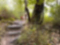 Dylan in woods.jpg