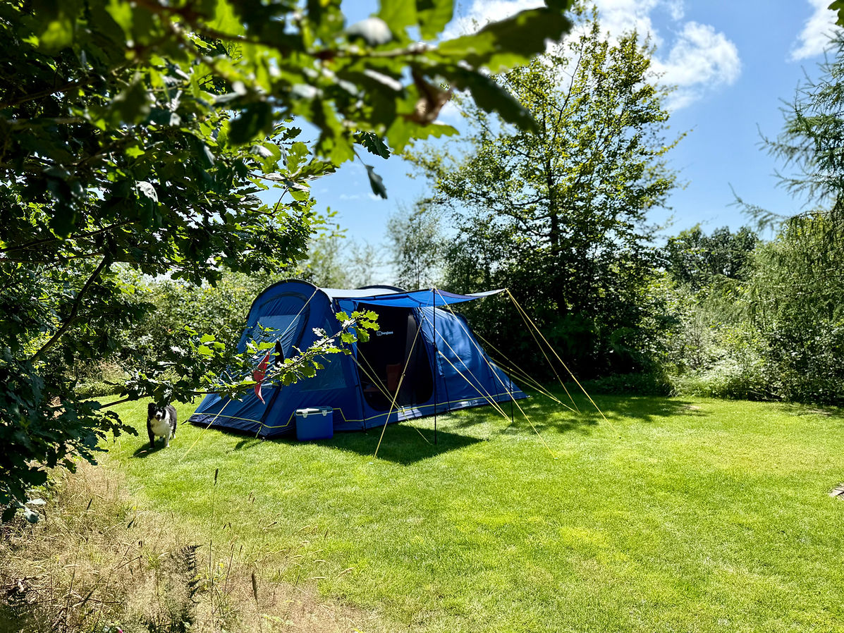 tent with Lilly.jpg