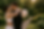 Pareja en boda