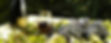 vigna22_edited.jpg
