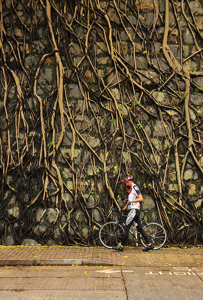 Person with bike walking next to road