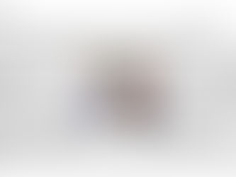 SonnenStern im "Liechtensteiner Vaterland"