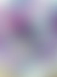 Gaufres (oil-free, refined sugar-free)