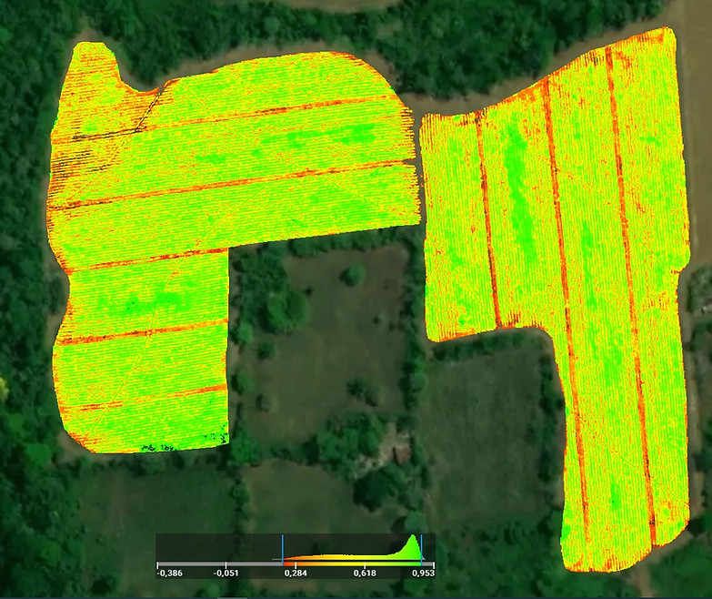 NDVI_YUCA.jpg