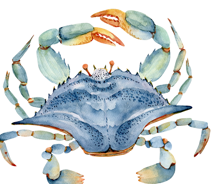 Whimsical Friendsgiving Dinner Invitation.png