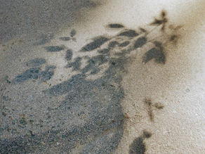 The Need for Recognition in Human Beings