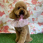 WhatsApp Image 2025-06-19 at 10.46_edited.png