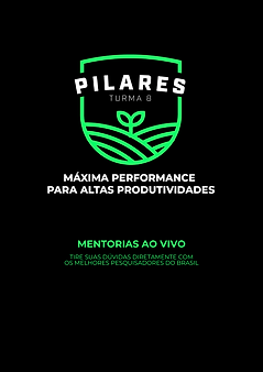 Artes para assinatura (1).png