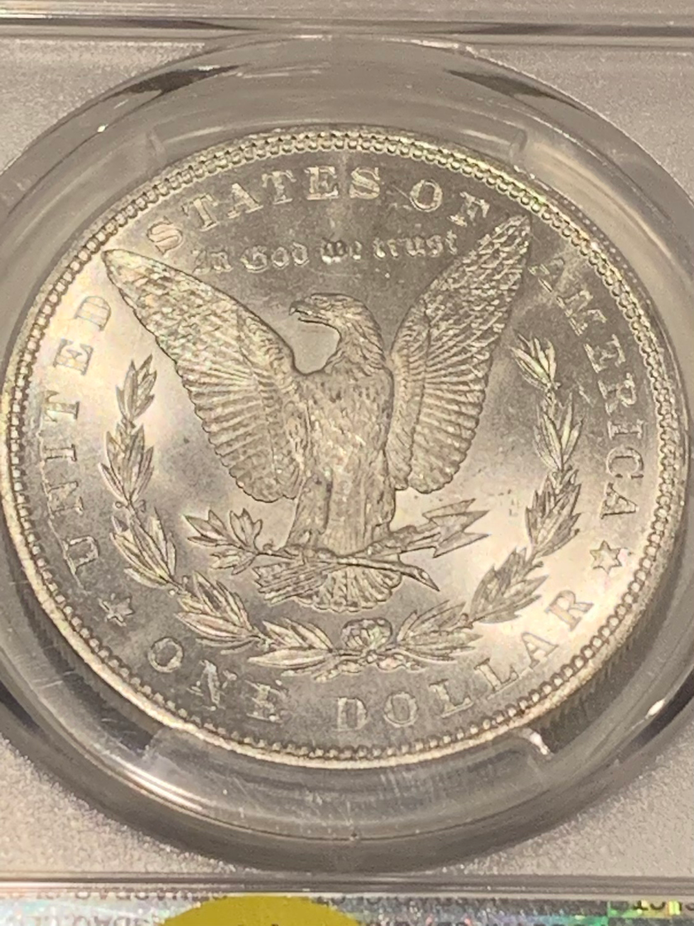 Thumbnail: 1884 PCGS MS64+