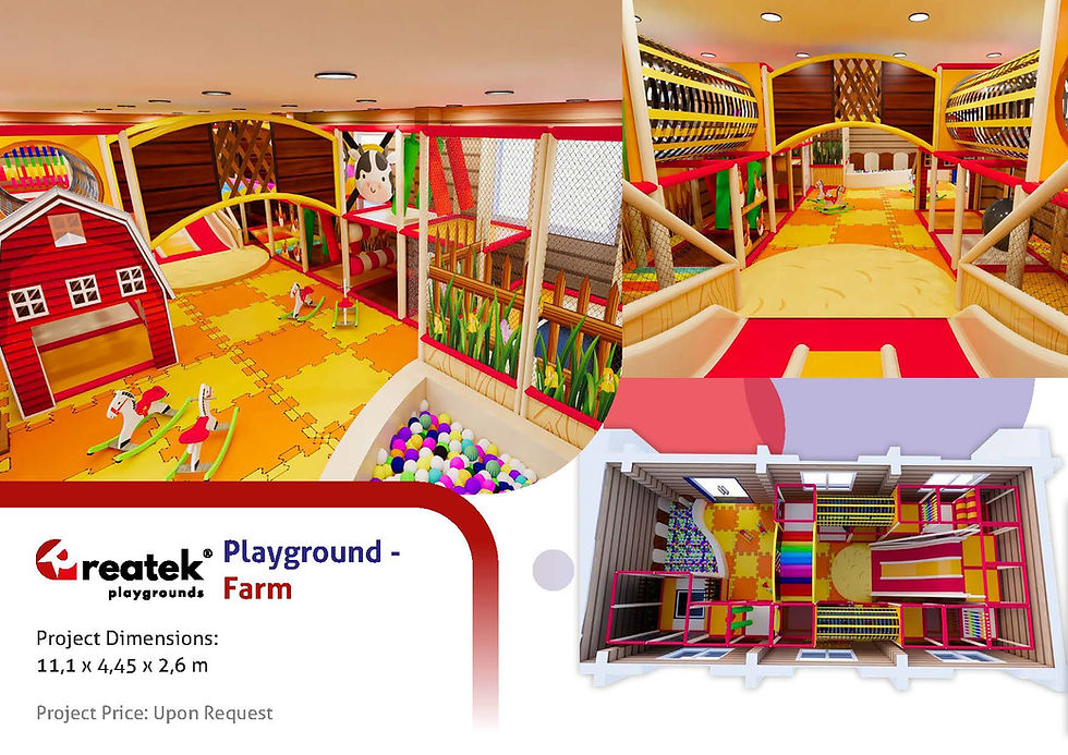 Farm themed indoor playground Reatek