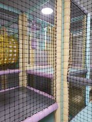 Interior playground Celakovice CZ Colour Bubble 06