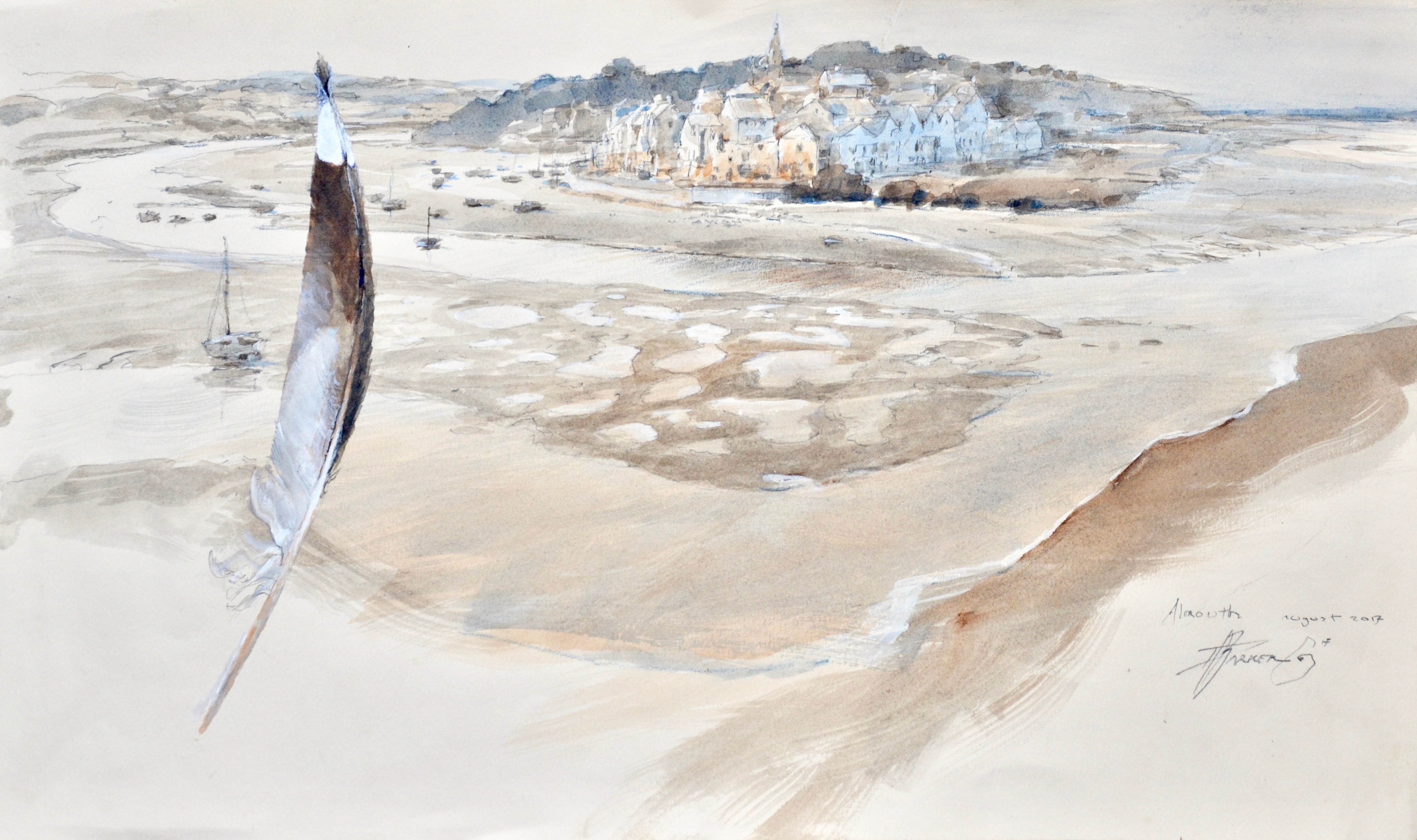 Feather, Alnmouth