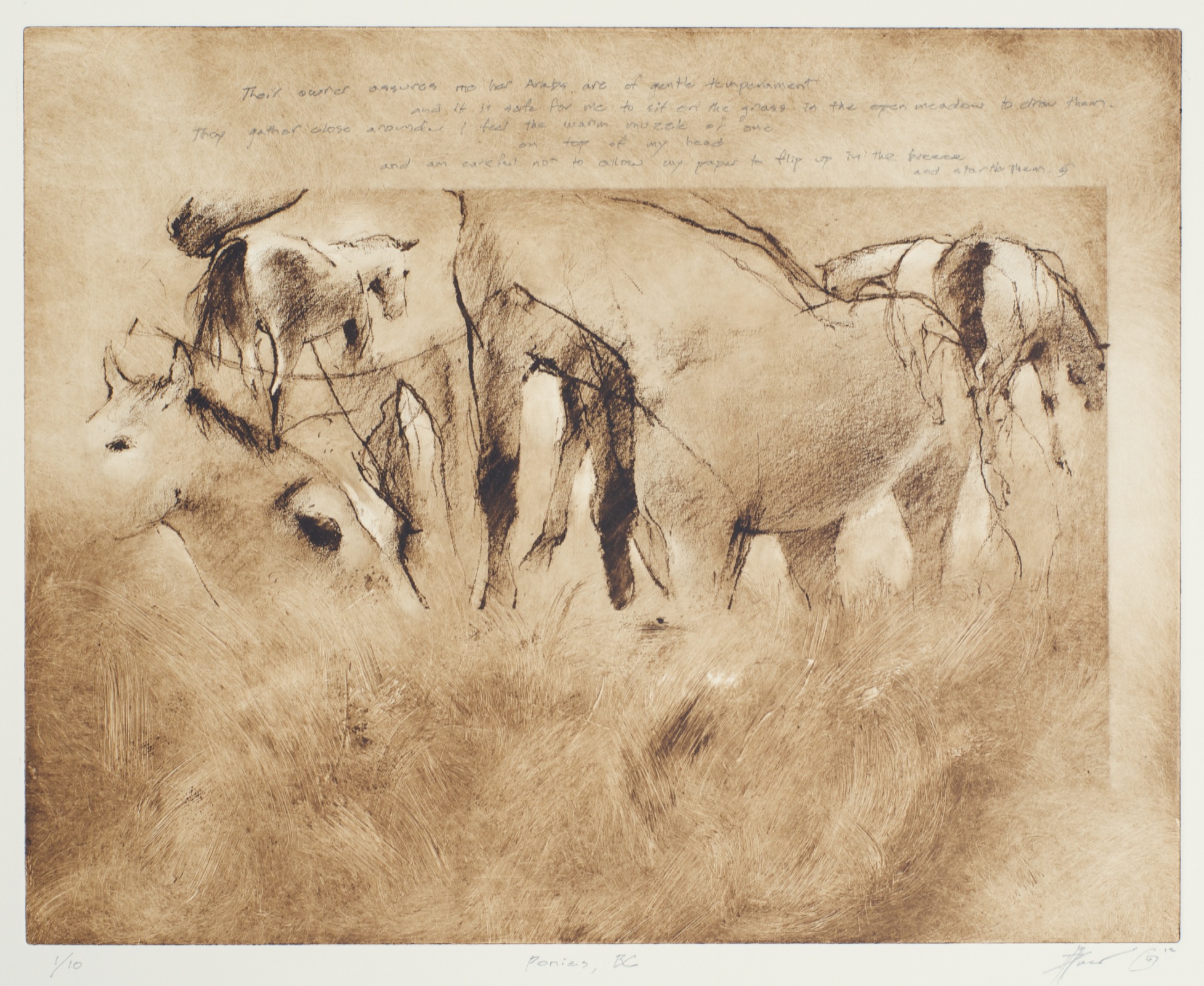 Ponies