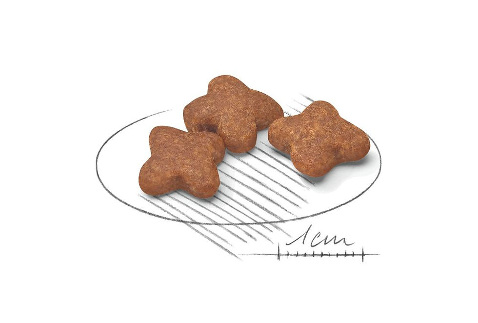 Miniatura: Mini Adult 3KG