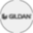 Gildan