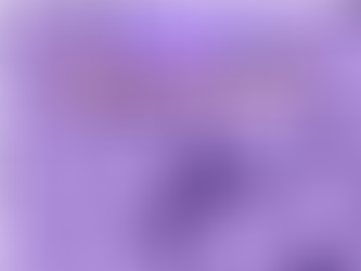 Carta #2. Las grandes preguntas