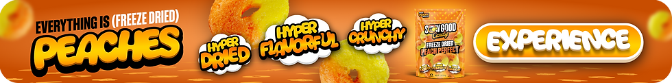 EIP Horiz Banner.png