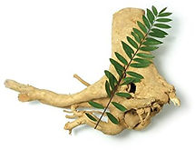 Tongkat Ali Root.jpg