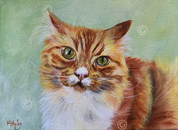 m-haley-ginger-acrylic-on-canvas-art-painting-acrylics-canvas-oils-watercolour-acrylic-abs