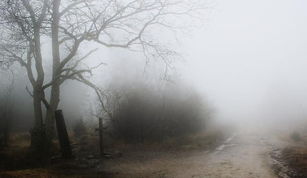 fog cemetary.jpg