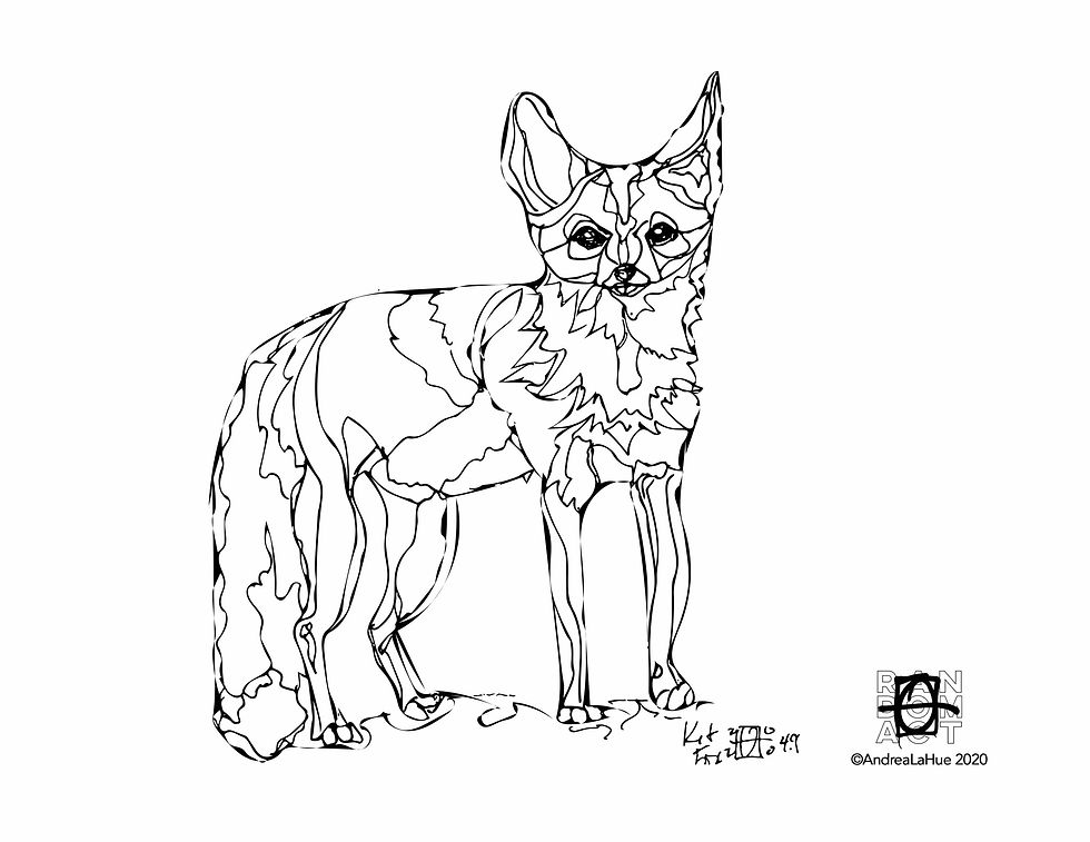 Kit Fox coloring page by Andrea LaHue