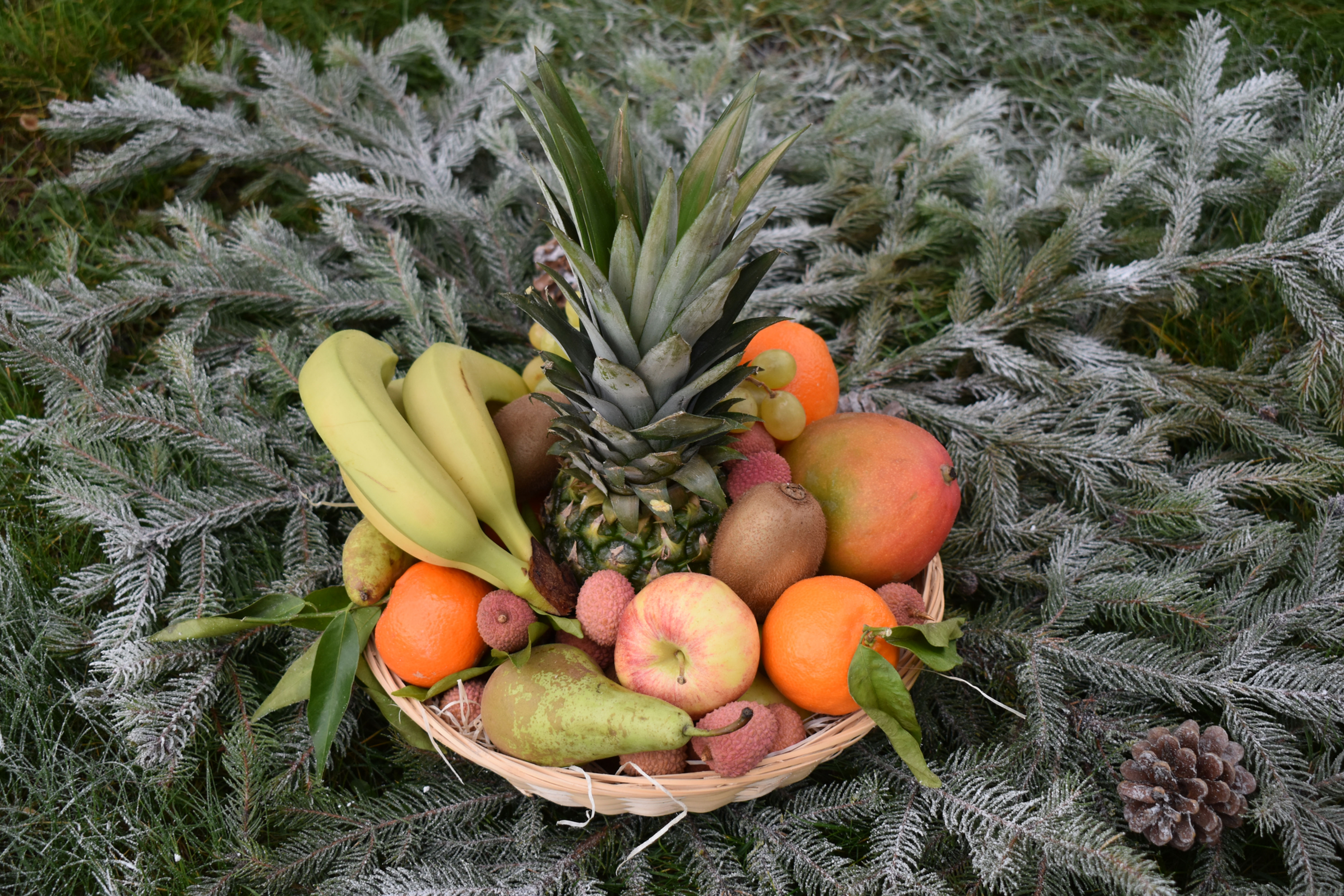 Corbeille de Fruits spécial Noël ( Petite )