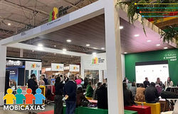 MobiCaxias