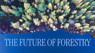 A glimpse into the future of forestry