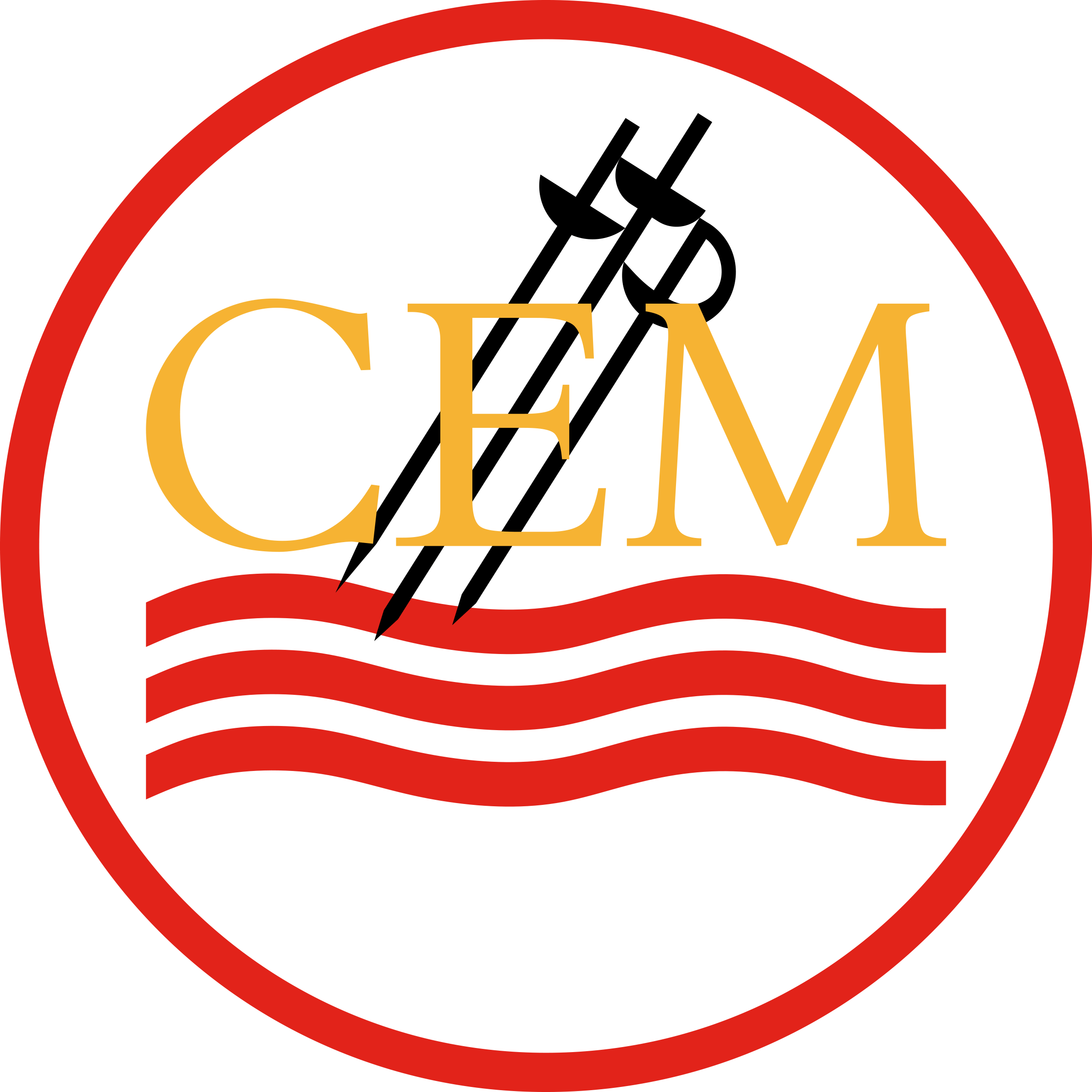 Logo CEM