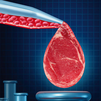 Good Food Institute: 2020 record year for cultivated meat launches, private investments