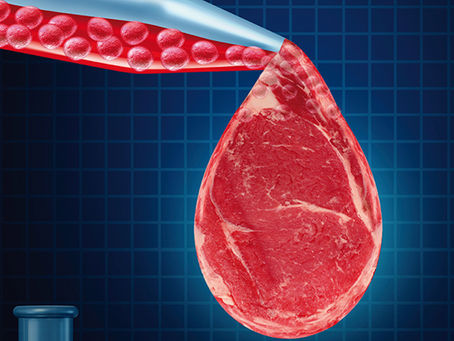 Good Food Institute: 2020 record year for cultivated meat launches, private investments