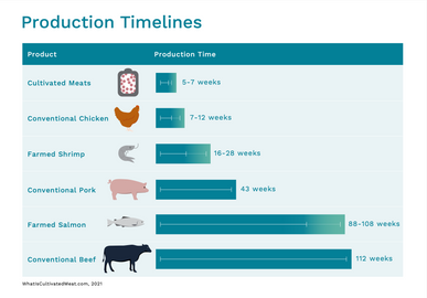 "Cultivated Meat Production Timelines" by WhatIsCultivatedMeat.com can be reused under the CC BY 4.0 license.