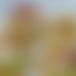 CellMEAT Debuts World’s First Cultivated Dokdo Shrimp Prototype